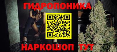 гашик Бузулук