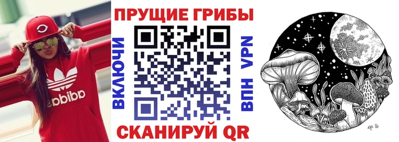 купить наркотик  Знаменск  Галлюциногенные грибы Psilocybine cubensis 
