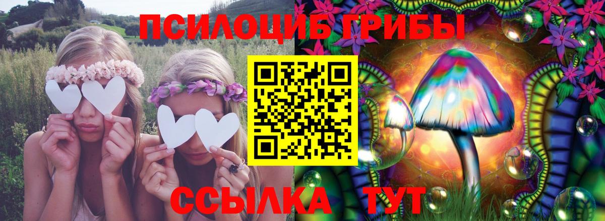 Псилоцибиновые грибы Psilocybine cubensis  Вход с VPN  Знаменск  Галлюциногенные грибы ЛСД 