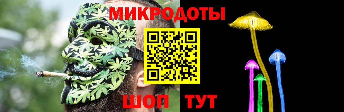 Галлюциногенные грибы Psilocybe Знаменск
