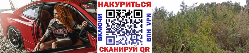 Марихуана SATIVA & INDICA  Знаменск 